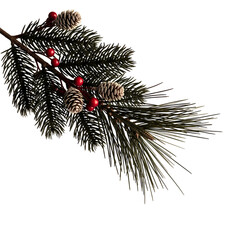Festive pine branch with cones and red berries evoking winter holidays and natural seasonal beauty for your projects