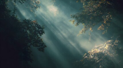 Ethereal forest light rays breaking through canopy, moody atmospheric nature scene, tranquil woodland ambiance