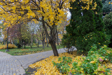 Autumn alleys of Shevchenko Park