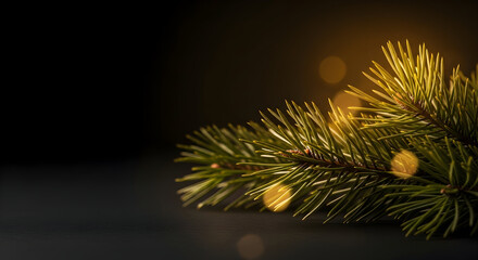 Elegant christmas background with pine branch and golden bokeh lights effect
