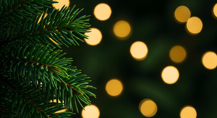 Festive christmas tree branch with bokeh lights for holiday season 2024