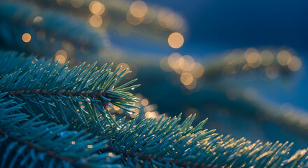 Festive Fir Branch: An Evergreen Detail with Bokeh Lighting Backdrop