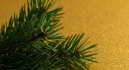 Festive Fir Branch on Shimmering Golden Background for Holiday Celebrations