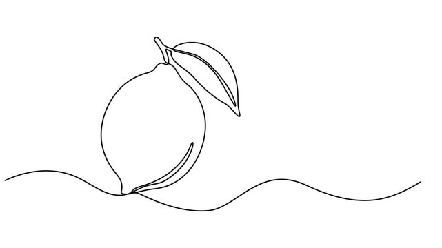 One line lemon animation. Continuous fruits and vegetables video. Natural, Self drawing simple animation of single continuous one line drawing of citrus fruit Lemon. Full length animation, Fresh lemon
