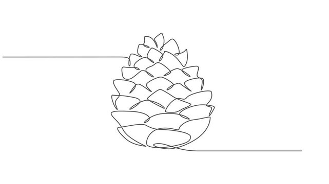 Abstract cedar cone. Self drawing animation one continuous line draw, logo, A single line drawing of a cone. Continuous line fir cone icon. Vector illustration, Full length one line animation. minimal
