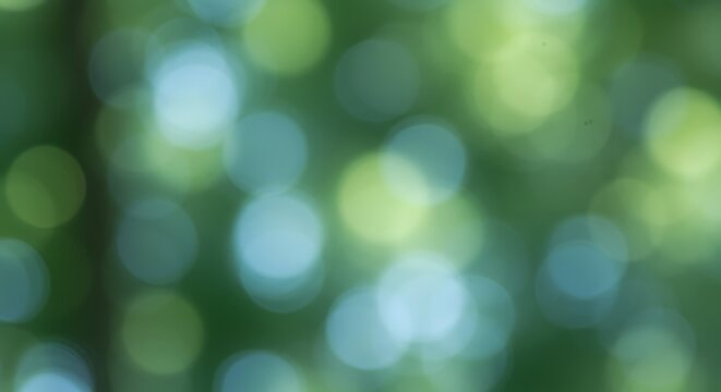 Blurred green and blue bokeh effect from sunlight filtering through tree leaves