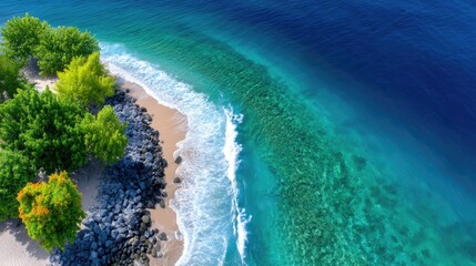 Aerial Drone View of Vibrant Coral Reefs Beneath Crystal Clear Shallow Turquoise Ocean Water With Lush Green Trees And Rocky Shoreline On A Sunny Day