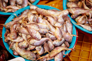 Fresh fish at the traditional market