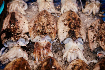 Cuttlefish at the traditional market