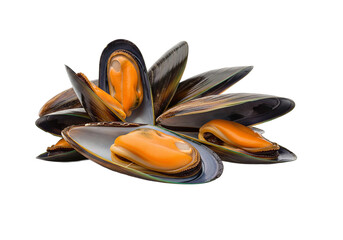  fresh raw mussels with glossy dark shells isolated