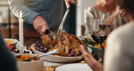 Thanksgiving, turkey and hands of person in dining room for holiday season, family gathering or tradition. Festive feast, party and roast chicken with people in home for food, hosting and hospitality