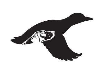 flying duck vector illustration, silhouette of flying duck graphic art