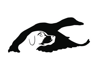 flying duck vector illustration, silhouette of flying duck graphic art