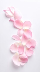 Pink orchid petals on white background delicate pink orchid petals elegantly displayed on a pristine white background capturing natural beauty