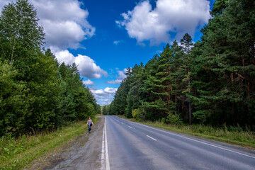 Fototapeta premium A highway without cars in the middle of a forest on a summer day.