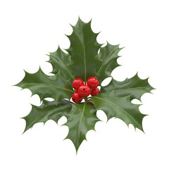 Vibrant holly leaves with bright red berries for festive decor