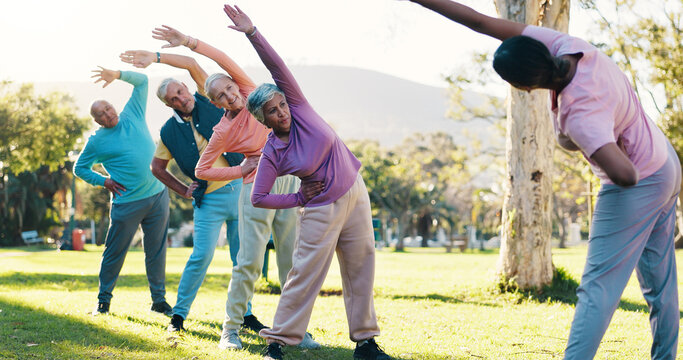 Class, stretching and instructor with old people in park for wellness, workout or mobility exercise. Joint friendly training, retirement and learning with senior men and women outdoor for warm up