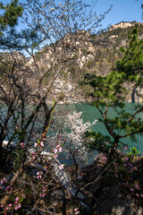 Small lake in the mountains Laoshan National park, Shandong province, China