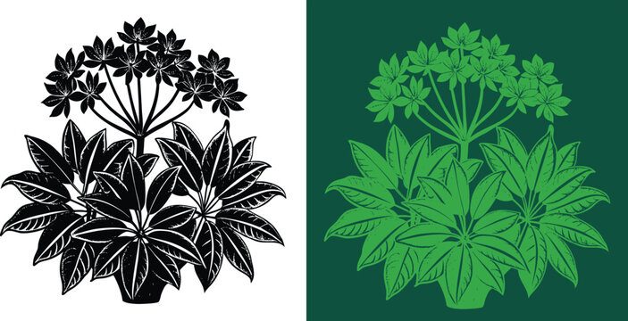 Charming botanical illustration of a schefflera plant in monochrome and vibrant green, perfect for adding a touch of nature to any design