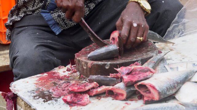 A fisherman is cutting and cleaning the fish close-up shot.USP
