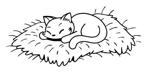 “Cute kitten sleeping on a soft blanket — adorable pet photography — background remove.”