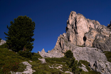 Lo spettacolare scenario panoramico del Passo Giau e Ra Gusela con le Cinque Torri e il gruppo delle Tofane. Dolomiti di San Vito di Cadore, Belluno, Veneto, Italia