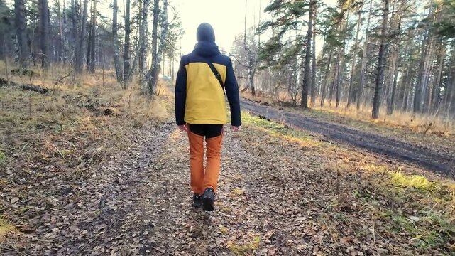 Person in bright attire hikes through tranquil forest environment at sunset, Individual clad in vibrant clothing moves steadily along peaceful woodland path during evening twilight
