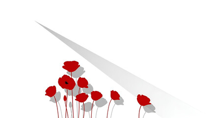 Vibrant red poppies under a soft, diffused light stream create an elegant, peaceful mood for Remembrance Day or floral spring design projects