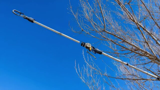 Closeup medium shot of extendable pruning pole cutting tall tree limbs against a clear blue sky backdrop.