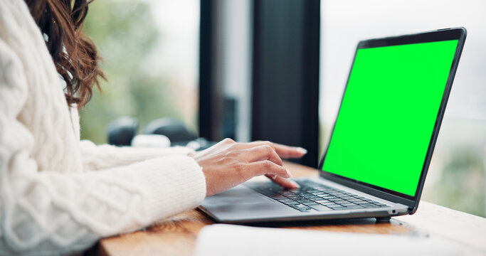 Display, green screen and student in cafe with laptop, mock up and online assignment in ux design. Research, tech or girl in cafeteria with typing, chromakey or digital report in e learning.
