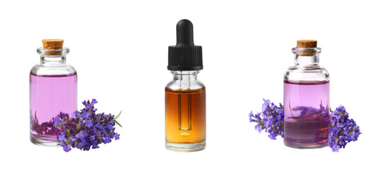 lavender essential oil bottles with lavender flowers on white background.