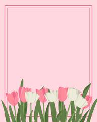 Spring tulip white and pink flowers frame for Mom's day or Valentine's day floral elegant design