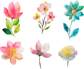 set of colorful flowers