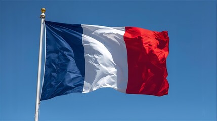 The famous national flag of France