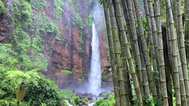Koban Kapas Biru is a waterfall in the tropical jungles of East Java, descending from a high cliff into a lush green canyon surrounded by tropical forests with vibrant vegetation.Lumajang River. 4К