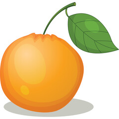 A Realistic Orange Fruit with a Green Leaf and Stem on a Transparent Background Showing Subtle Highlights and Shadows with a Soft Circular Shadow Beneath