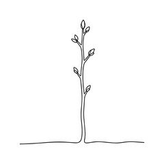 Minimalist plant sprout line art illustration