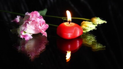 flower and red candle burning on black background. Mourning, condolence and sorrow concept