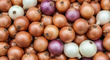 Close-up Overhead View of Assorted Fresh Onions