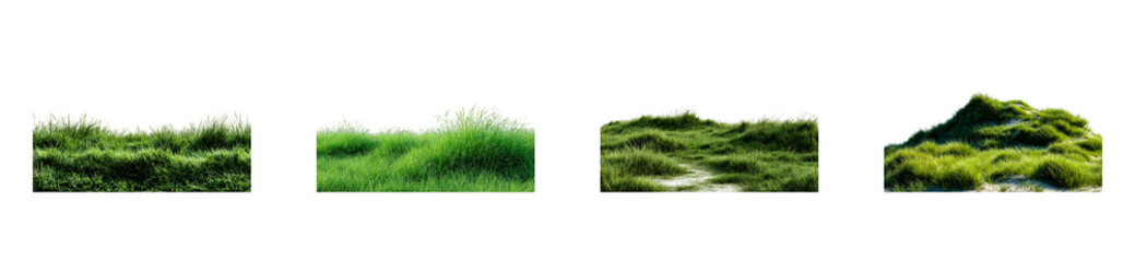 Lush Green Grass Clumps With Sandy Terrain