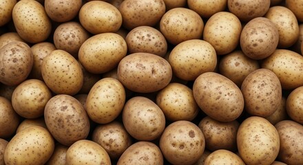 Abundant Fresh Potatoes Piled High for Culinary Use