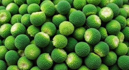 Close-up of Fresh Green Guttiferous Fruits with Textured Surface