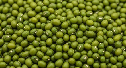 Close-up Macro Shot of Green Mung Beans with White Germination Points
