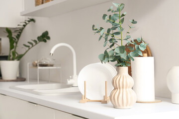 Vase with fresh eucalyptus branches and clean plates on counter in kitchen