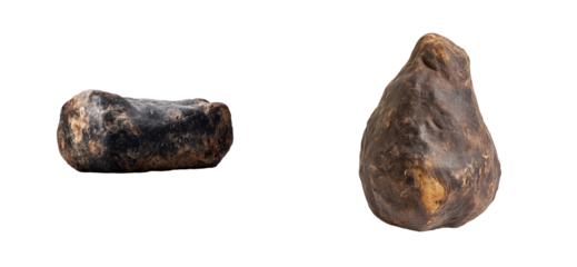 Two rough, textured, natural objects on black