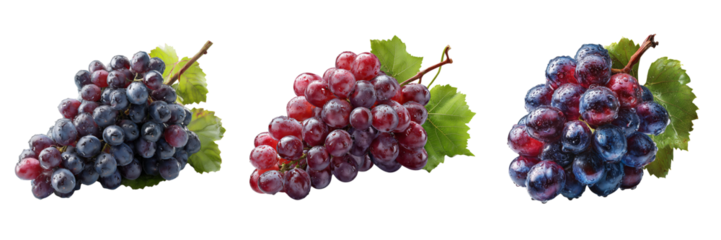 Set of Red grapes on a vine isolated on white, fresh, ripe and ready to eat on transparent png background. Ai generated