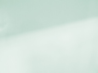 Background green abstract line shadow overlay on cement wall floor beige mockup product cosmetic summer tropical nature presentation frame template eco backdrop environment