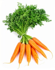 Fresh Carrots with Green Tops Isolated on White Background, Organic Root Vegetables for Healthy Diet and Cooking Concept