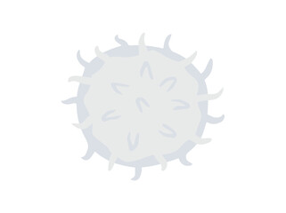 White Blood Cell Lymphocyte