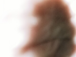 Abstract soft focus image of a brown, red, and dark green color blend with a dominant white light source, creating a dreamy, blurred watercolor effect.